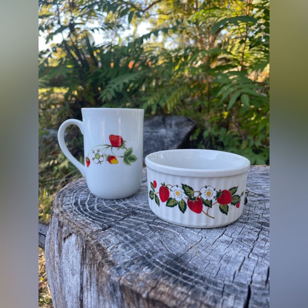 Strawberry Pattern Mug and Bowl Set